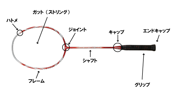 バドミントン用語集 バドミントンラケットの薫風スポーツ